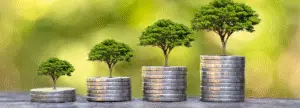 Wealth Wellness